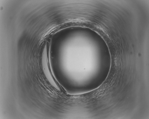 X0000058830968200510171613