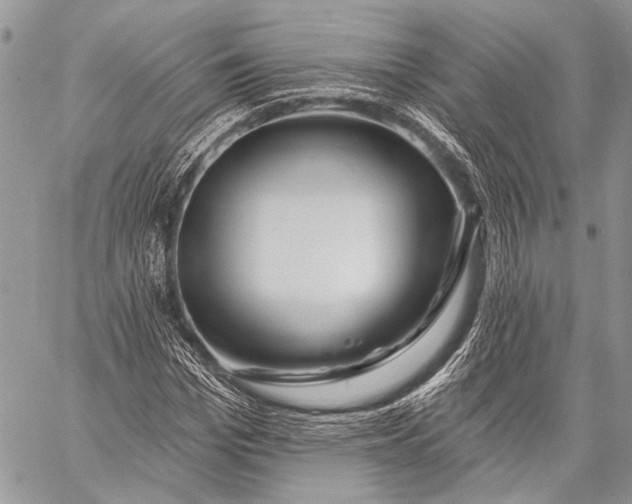 X0000058830969200510171613