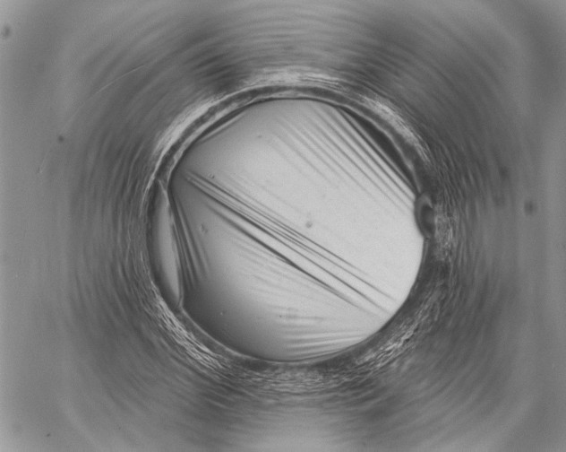 X0000058830972200510171613