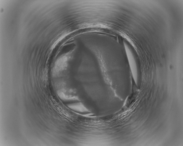 X0000058830975200510171613