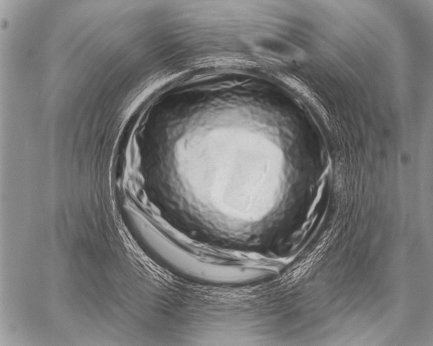 X0000058830983200510171613