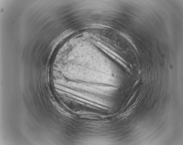 X0000058830987200510171613
