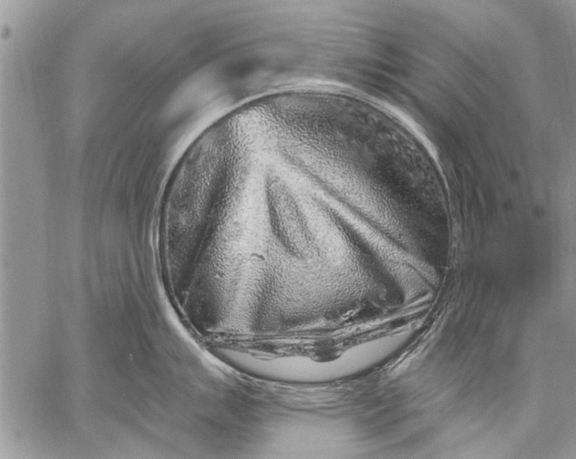 X0000058831007200510171612