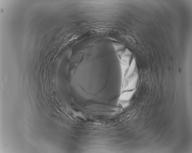 X0000058831009200510171612