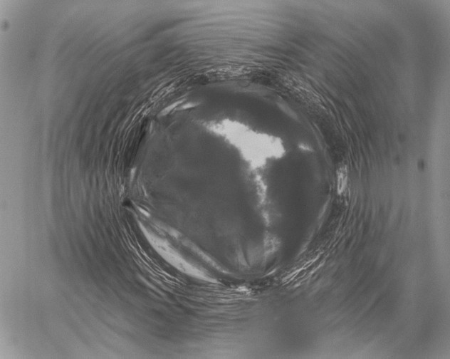 X0000058831011200510171612