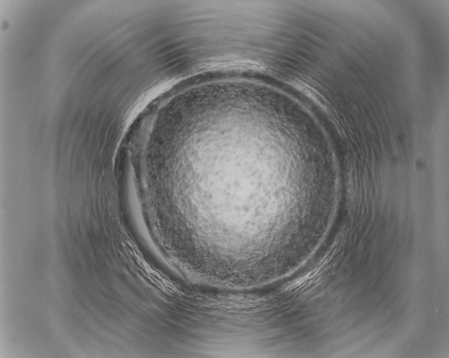 X0000058831022200510171612