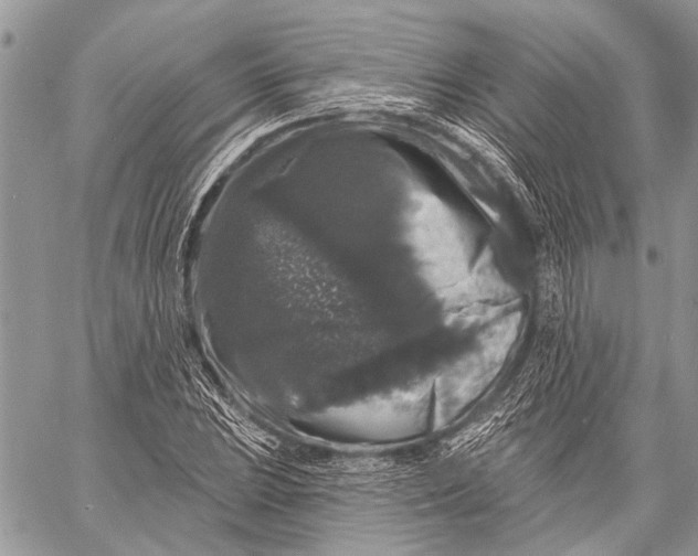 X0000058831023200510171612