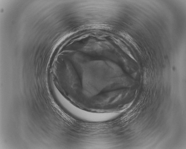X0000058831024200510171612