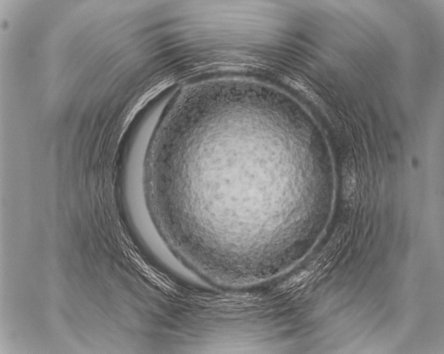 X0000058831026200510171612