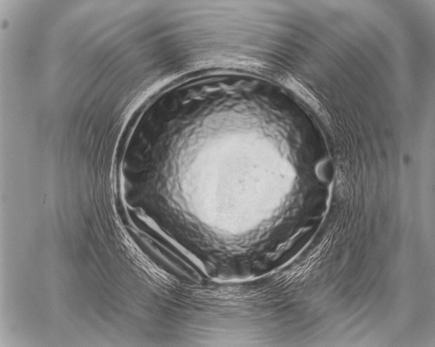 X0000058831028200510171612