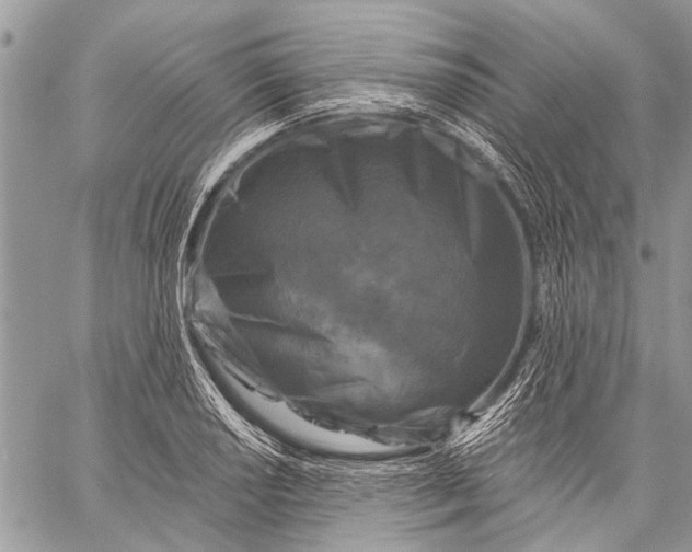 X0000058831034200510171612