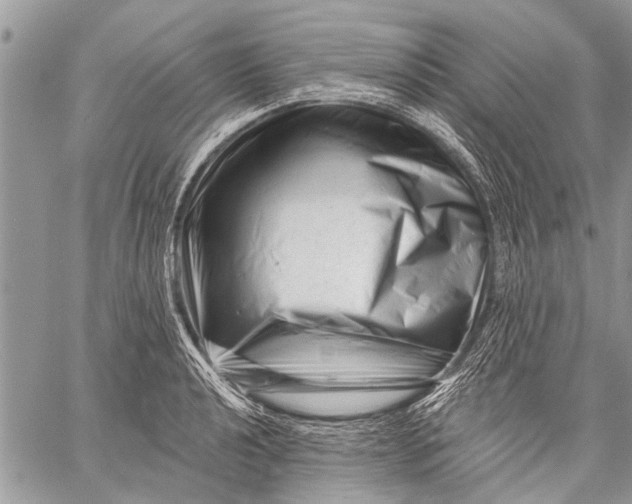 X0000058831040200510171612