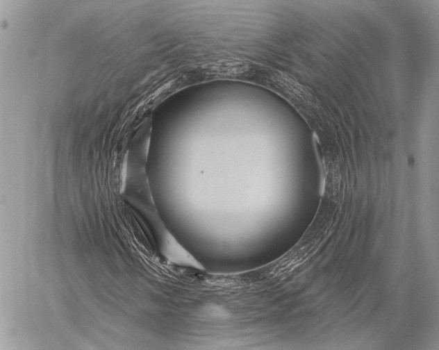 X0000058831058200510171612