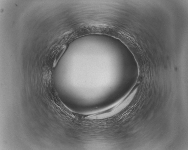 X0000058831061200510171612