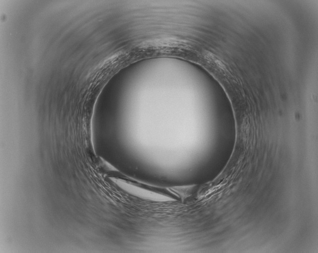 X0000058831062200510171612