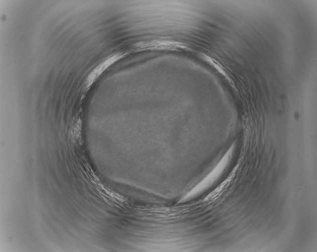 X0000058831066200510171611