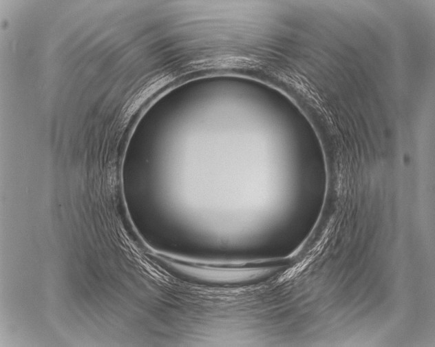X0000058831073200510171611