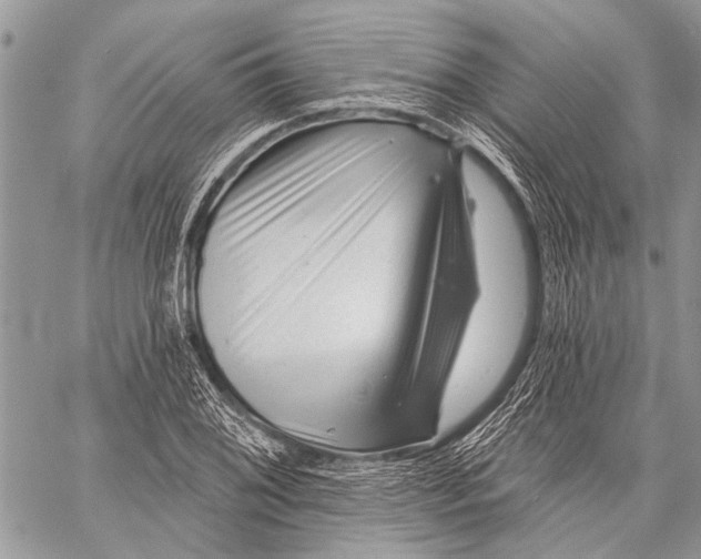 X0000058831076200510171611