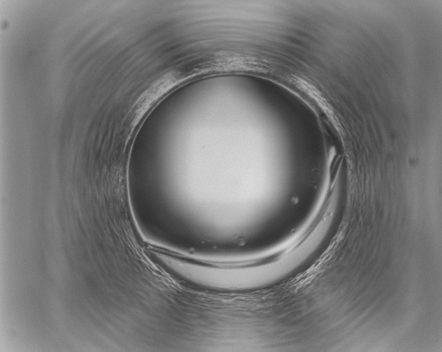X0000058831089200510171611