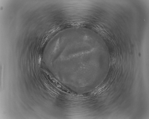 X0000058831106200510171610
