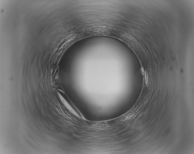 X0000058831107200510171610