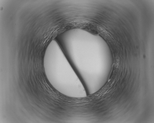 X0000058831108200510171610