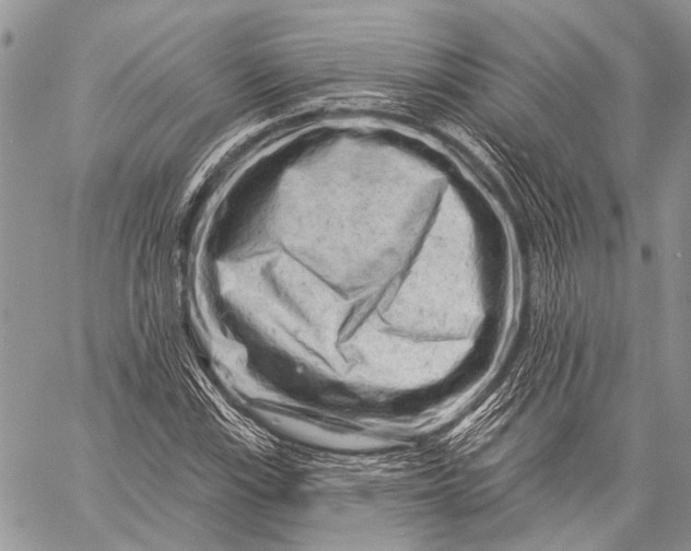 X0000058831115200510171610