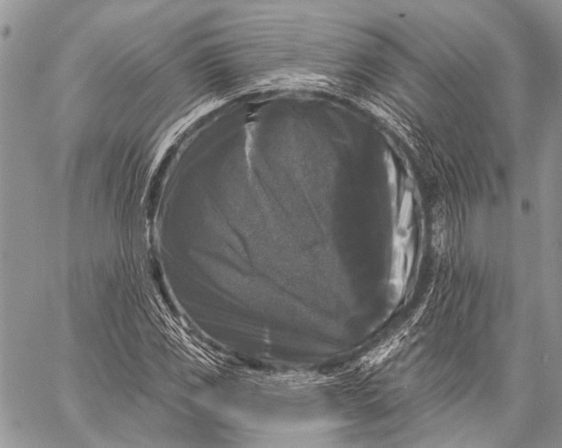 X0000058831117200510171610