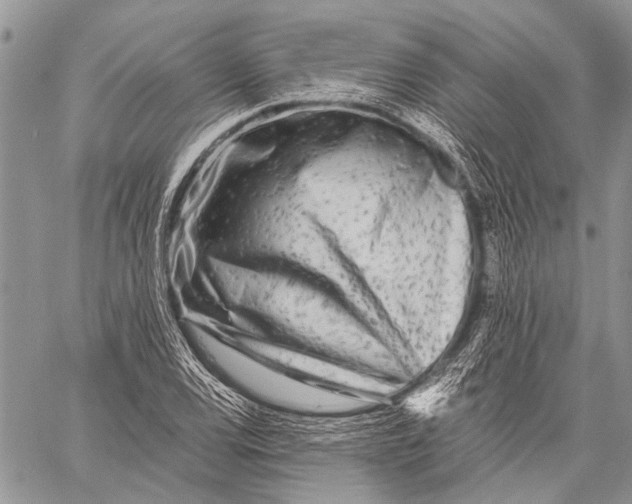 X0000058831120200510171610