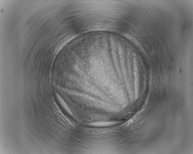 X0000058831121200510171610