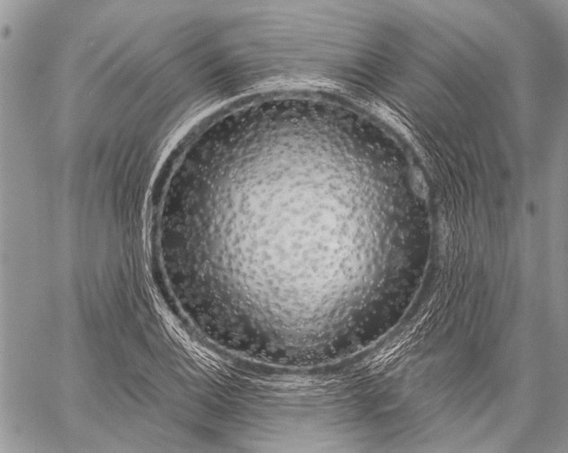 X0000058831124200510171610