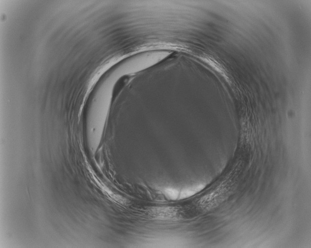 X0000058831127200510171610