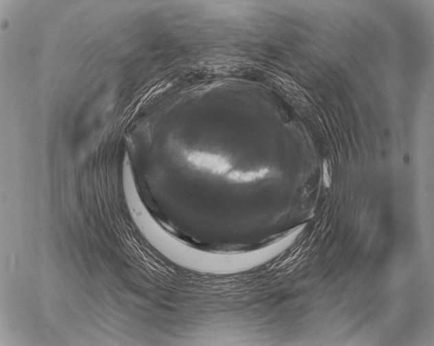 X0000058831155200510171610