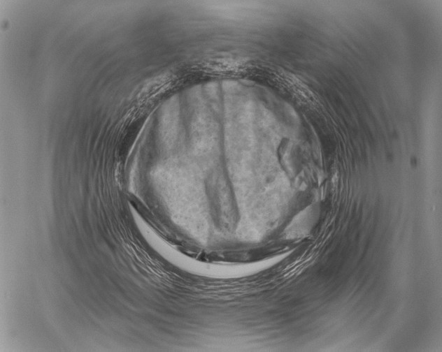 X0000058831156200510171610