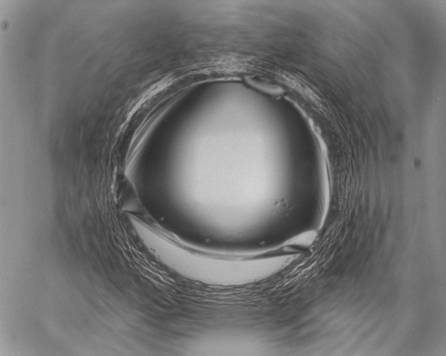 X0000058831160200510171610