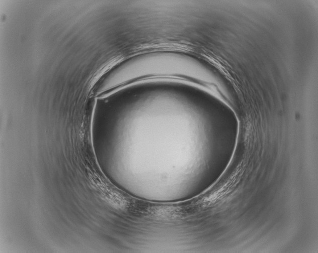 X0000058831163200510171610