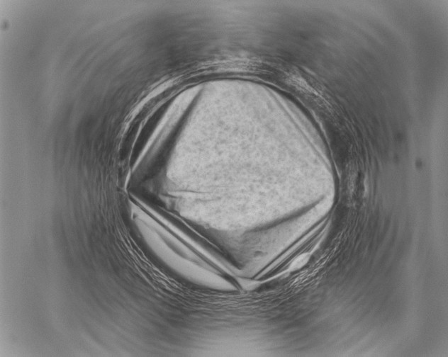 X0000058831166200510171610