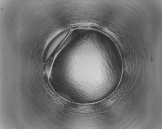 X0000058831171200510171610