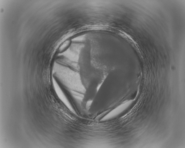 X0000058831174200510171610