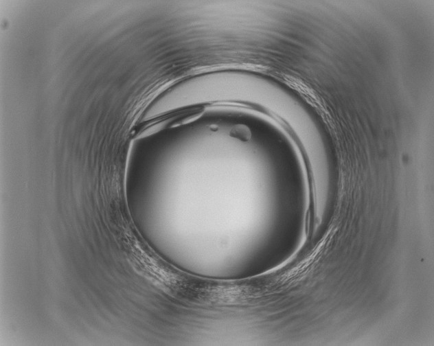 X0000058831177200510171610