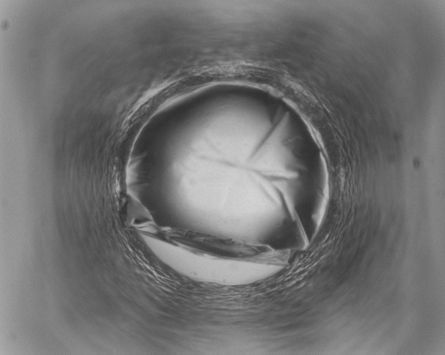 X0000058831206200510171608