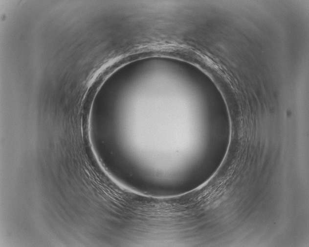 X0000058831214200510171608