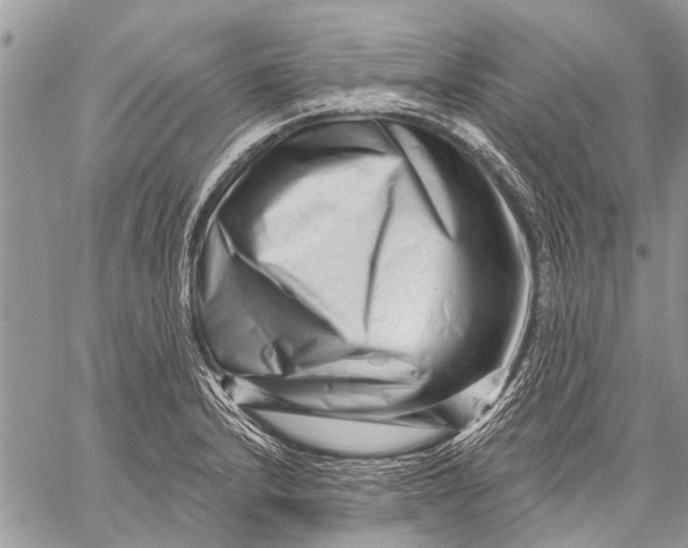 X0000058831232200510171609
