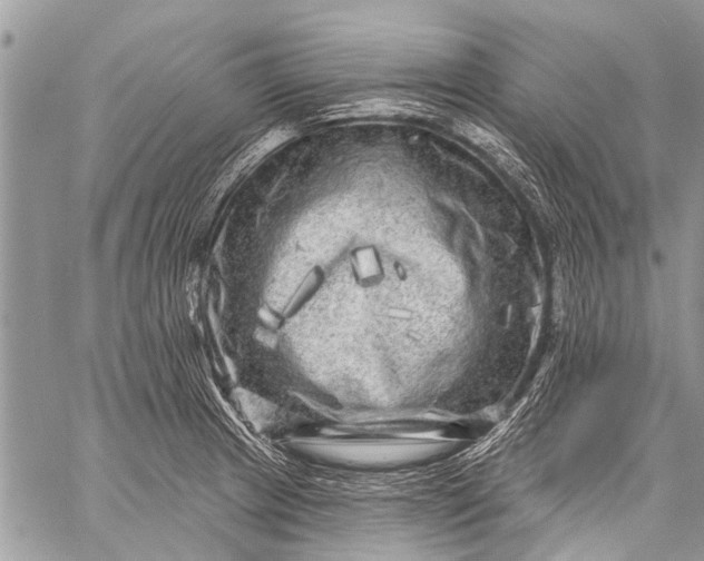 X0000058831233200510171609