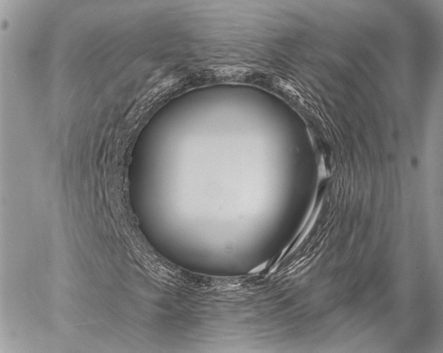 X0000058831249200510171608