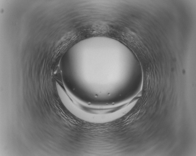 X0000058831250200510171608