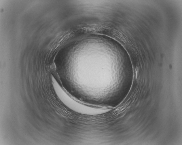 X0000058831251200510171608