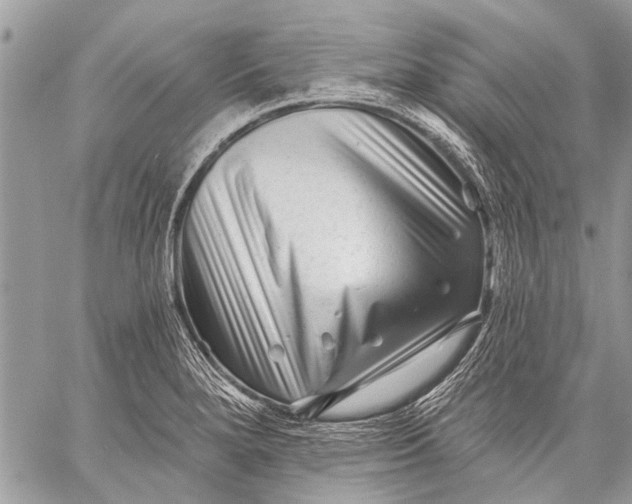 X0000058831280200510171608