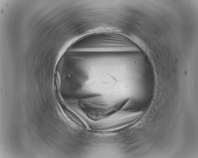X0000058831296200510171607