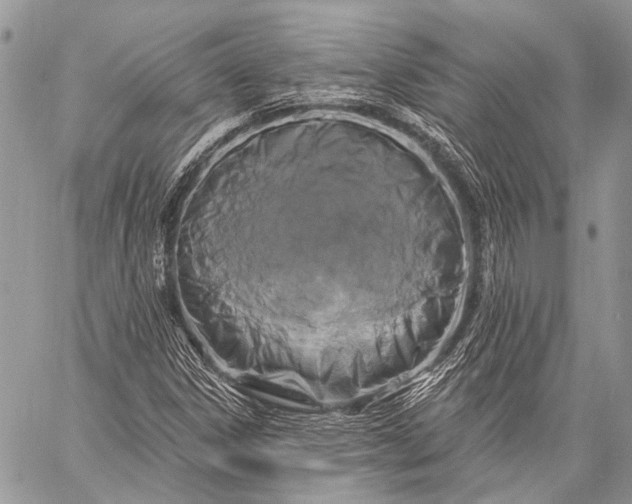 X0000058831306200510171607